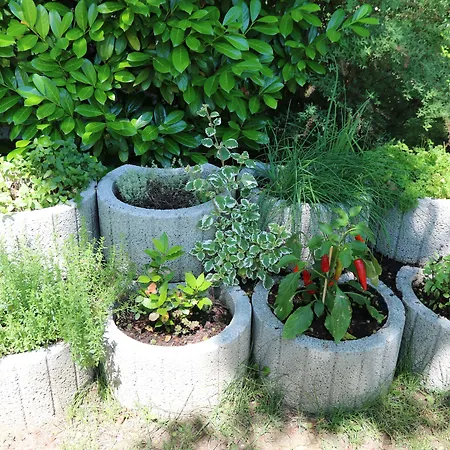 Szálloda Kolping-hotel 3*