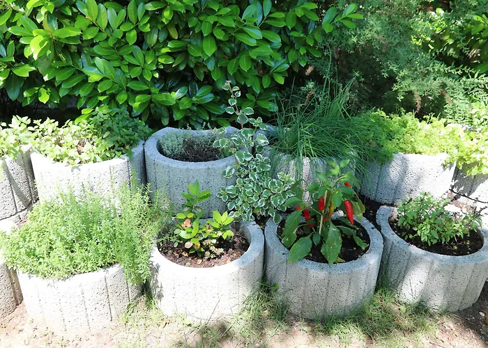 Hotel Kolping-hotel 3*