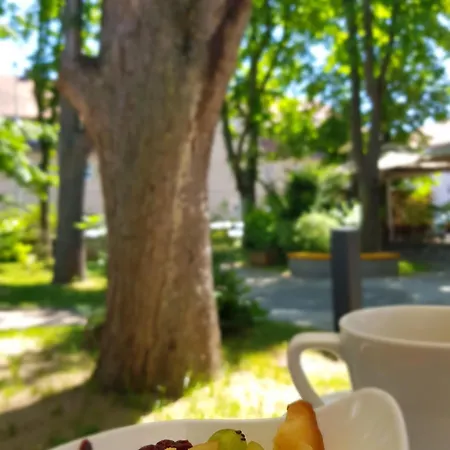Kolping-hotel 3*